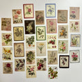 🌿 Vintage Botanical Postage Stamp Stickers