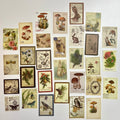 🍄 Vintage Forest Postage Stamp Stickers