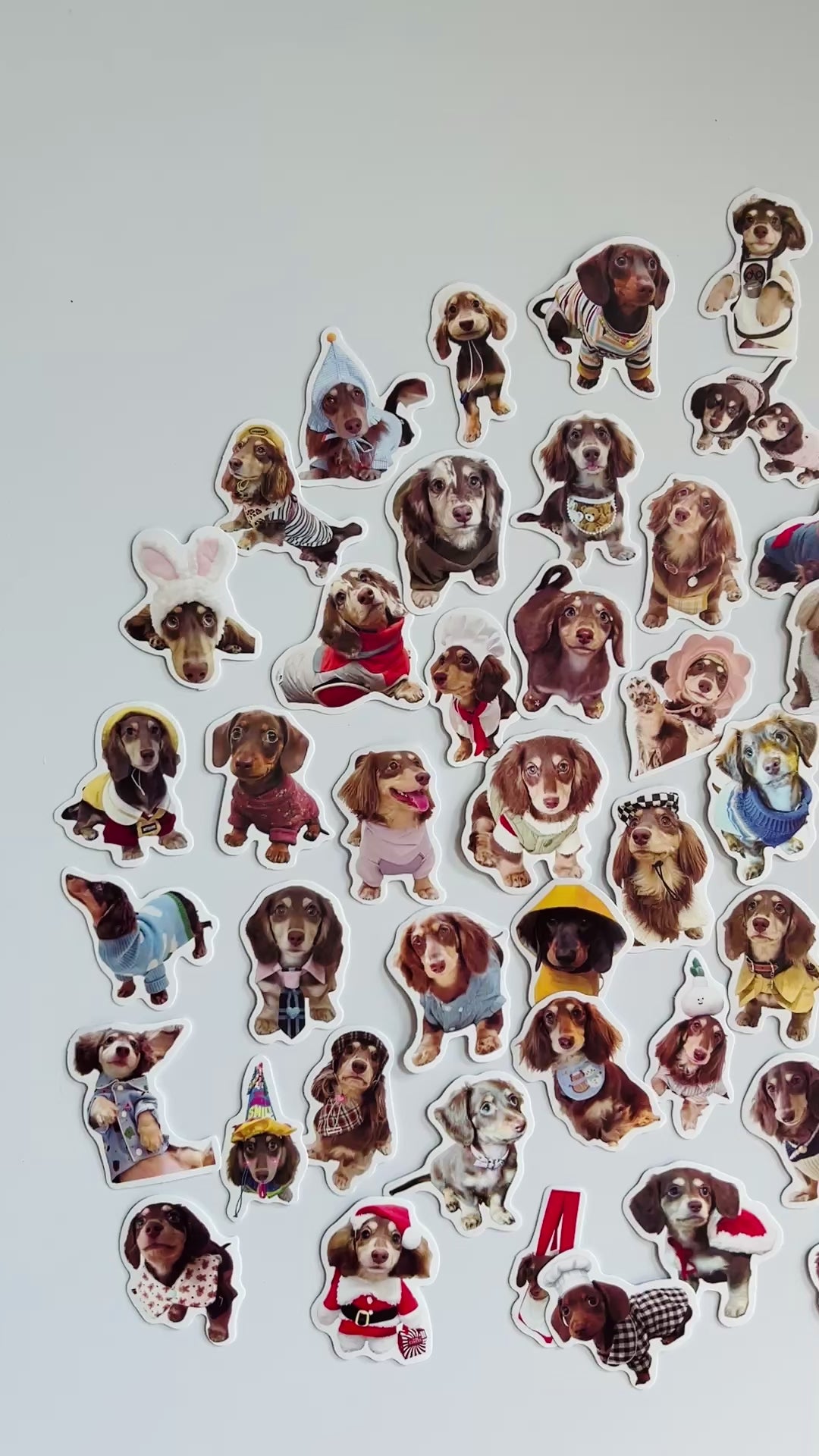 🐾 Cute Dachshund Stickers