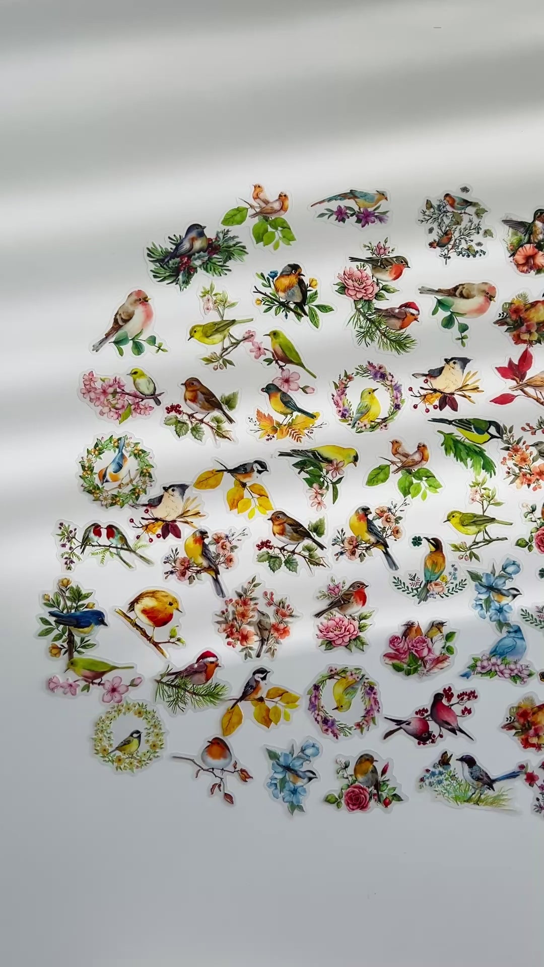 🌸 Birds & Flowers Garden Stickers
