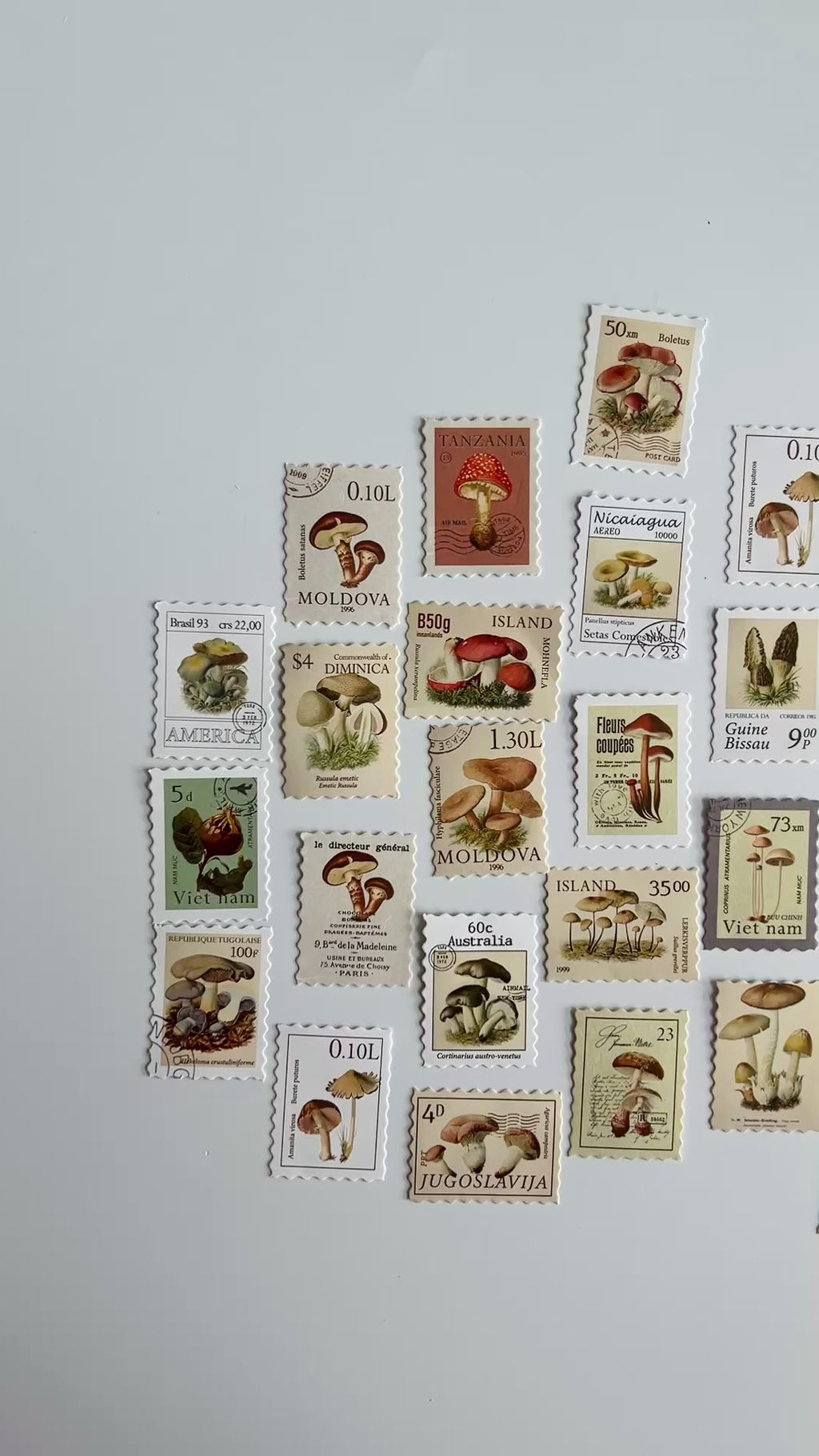 🍄 Vintage Mushroom Stamp Stickers Set (24 pcs)